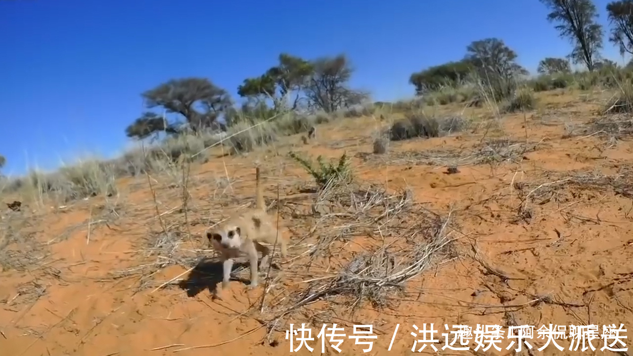 霉运|下月过后生活不会再辛苦，四大生肖霉运远离，贵人相助，成功当下