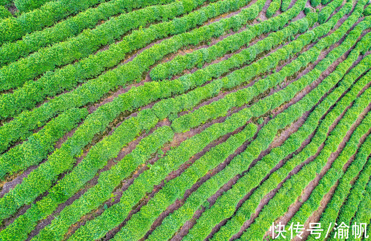 土壤|重庆江津：中国长寿之乡，富硒名城，适合养老与旅行的硒望之城