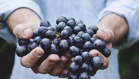 4种常见的食物，具有促进睡眠作用，吃了很多年以后才知道