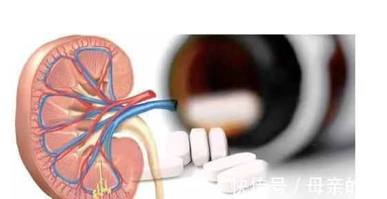 氨氯地平|这些降压的西药伤肾吗？高血压患者能够放心使用吗？