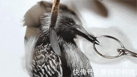 steven$理科生我们不画则已,一画就会让美术生都感到害怕