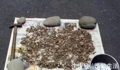 什么淘米水、黄豆水都不如1勺小粉末,一月给花用一次,花量翻倍