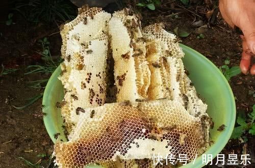 云龙菜|女性到了中年,常吃3种食物,刮油消脂,排毒减肥,营养又瘦身!