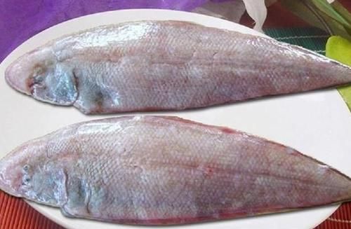 多宝鱼|夏季吃鱼，优先选择这五种鱼，营养美味无小刺，很适合老人和孩子
