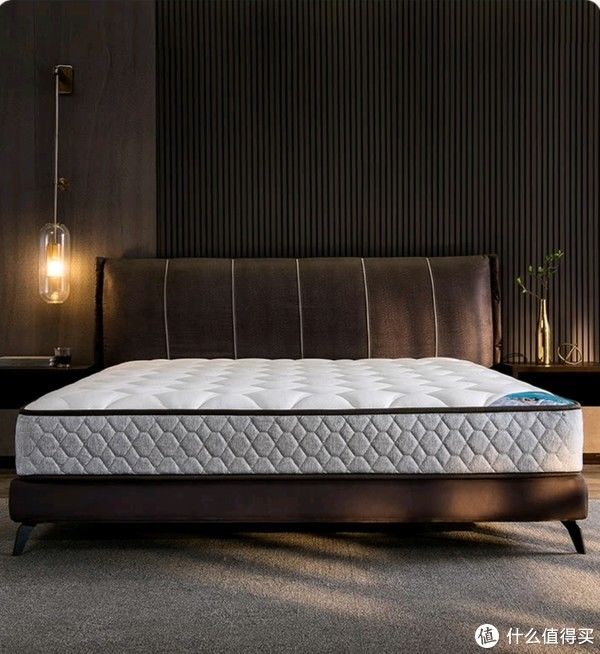 垫子|你是否也有过失眠多梦腰椎疼痛浑身酸乏无力感?多半是床垫的锅!