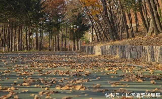 细雨|「细雨生寒未有霜」初冬风景美如画！此时的六鼎山是如此静谧～