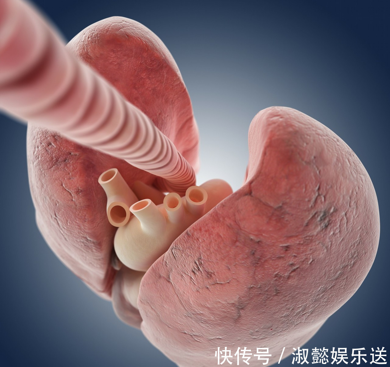 身体|男人每天喝白酒，最后会怎样专家的答案或许很意外