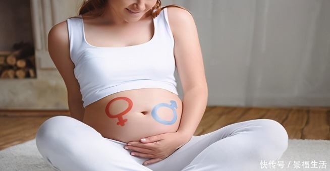 外生殖器|怀孕多久后，能知道胎儿的性别，不要太着急