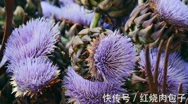 旧爱|思念不减,良缘天赐,真爱降临,不再犹豫,与旧爱重温从前