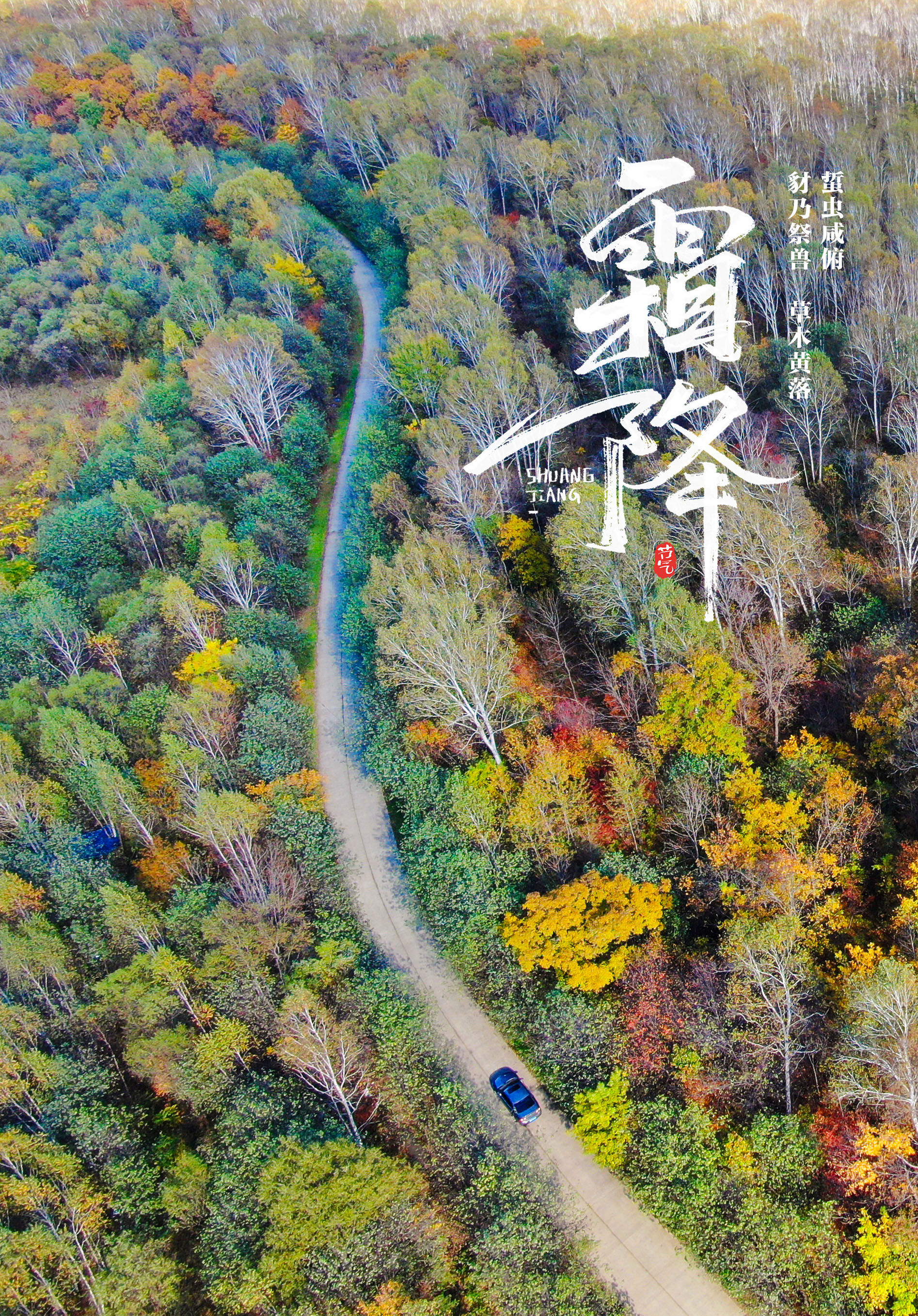 草木黄落！报节气|山明水净夜来霜 数树深红出浅黄