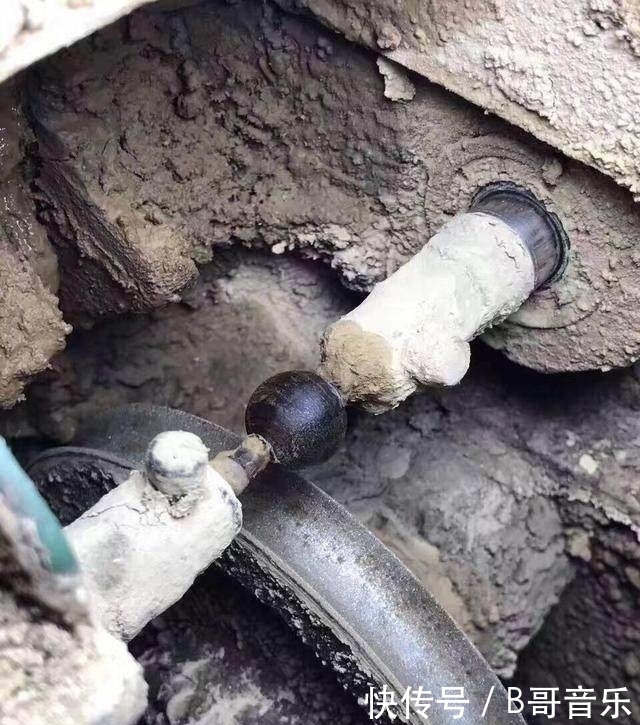 老炮从越南带回两根黑棒槌 一刀切开 激动得以头抢地 拂掌而呼