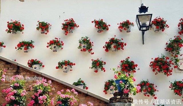 不一样的“庭院花园”，花草都上了墙