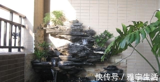 鱼池|有庭院的人都开始造景观鱼池了美哭了,回家也要挖一个