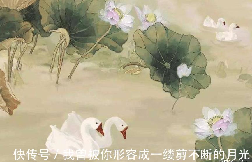 咏鹅|老农模仿《咏鹅》作《咏鸡》获大奖,网友跃跃欲试,纷纷脑洞大开