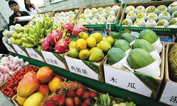 營養(yǎng)師：這些食物就算壞掉，也別放入冰箱，破壞營養(yǎng)還影響口感