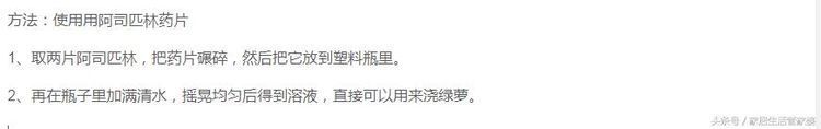 花店老板养花不烂根，黄叶秘诀，浇水加上一点，快死的花都能活