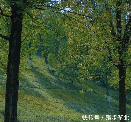 开春第一件薄外套!买这4件就对了,时髦又百搭好看