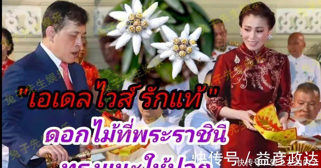 诗妮娜贵妃#苏提达借雪绒花的花语，向泰王表达“真爱”，以德报怨太有肚量了