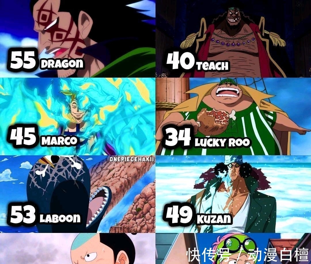 马尔科|海贼王年龄表:马尔科比红发大6岁,战国近80高龄,布琳未成年?