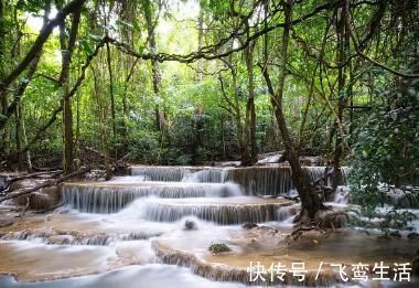 楸树！韩愈的两首七绝，造语奇崛，寄意深远，令人赞不绝口