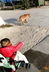 |搞笑GIF:妹子这跳的什么舞蹈啊,怎么看起来蛇精一般呢