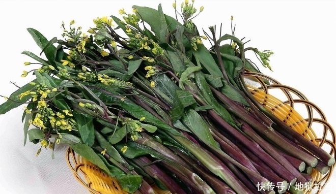 野菜|现在吃这3种野菜,能化痰散结,还治食欲不振,你吃了吗?