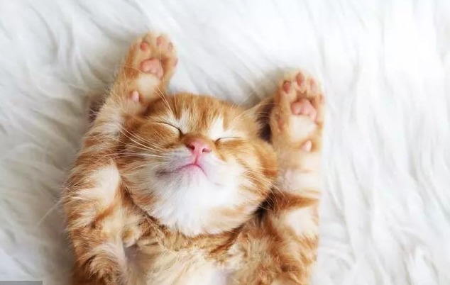 红枣|112个名老中医贡献的祖传秘方,个个见功力!取材易花钱少疗效好