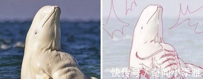 错觉!10个让人产生错觉的照片,被插画家涂抹几笔后,才能看懂