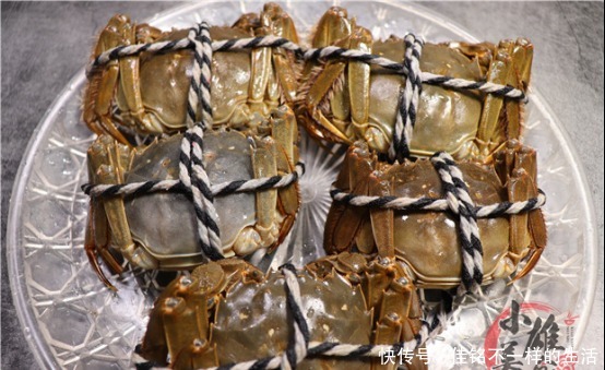 知识|才发现,原来螃蟹身上有两处“小机关”,一捏就知肥瘦,涨知识了