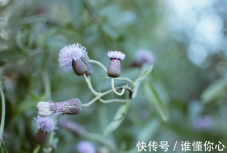 人性的弱点|看似单纯，实则深不可测的星座，城府深厚，只是在生活里懒得使用