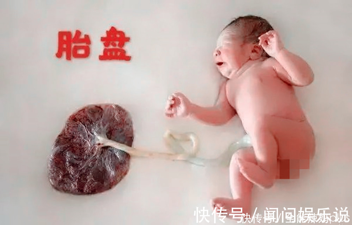 产妇|生完宝宝后,你的胎盘“埋了”还是“吃掉”?做法不同结果大不同