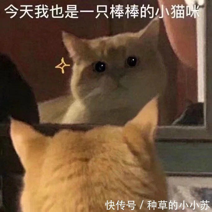 肤质|越贵的洗面奶不一定就越好,但“好洗面奶”一般会有这3大优点!