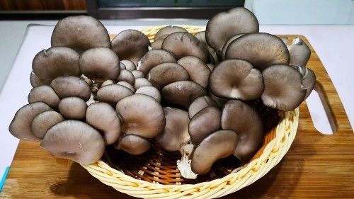 炸蘑菇时，直接挂糊是不对的，多加一步，蘑菇外酥里嫩嚼着比肉香