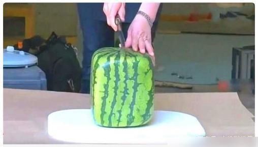 土豪|日本的“天价西瓜”,中国土豪花几万元买了一个,切开后却懵了