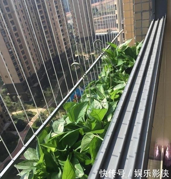 房子|刚装修好的房子,花了18万,贵吗?懂装修的朋友帮忙看看