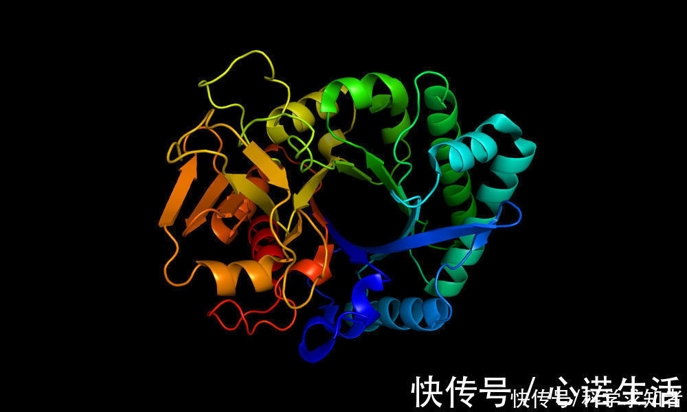 人工智能|没错,战胜柯洁的AI,已经开始解决困扰科学家50年的生物难题