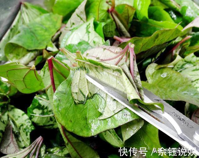 米醋|9月最该吃这菜,一块钱炒1大盘,常吃眼睛明亮,鲜香软糯又顶饱