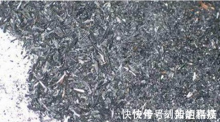 这几种浇花水,用来养花,不仅花多,还不长虫子,连肥都不用施了