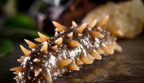 一旦得了高血压,坚持每天吃点“它”,稳定血压,身体更健康