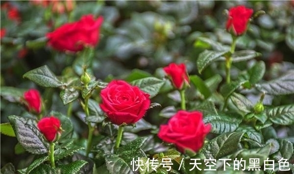 福气|7月29过后，这三个生肖福气榜身，有财有喜，月月有钱花不完