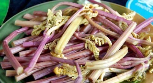 此種“雜草”曾滿山都是,被稱為野菜之王,如今野生已難尋,可惜