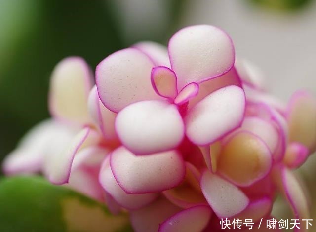 轻易|做人,别轻易把自己的这三个“死穴”暴露给别人