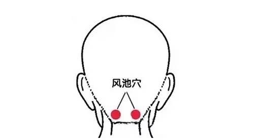 关元穴|人体有10个“超级穴位”,每个都是一味名贵中药,内附高清大图