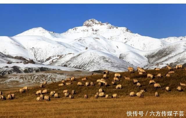 坐上火车去拉萨，青藏铁路，崎岖旅程中探索极致美景