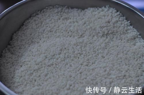 酒曲|这东西可是“宝”，天冷喝一碗大补气血，在家做很简单