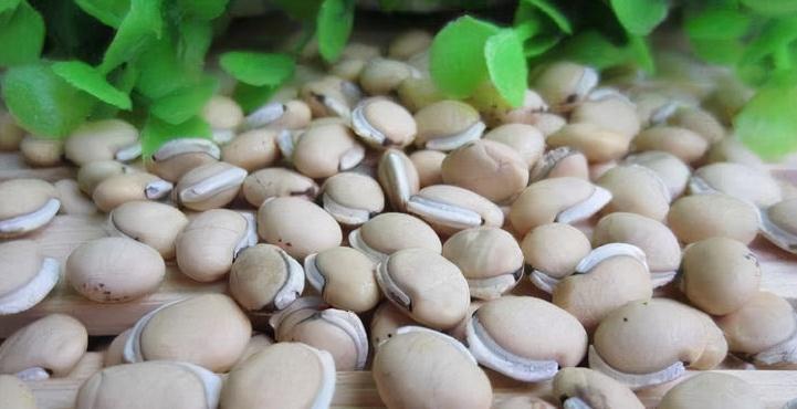 维生素c|预防身体衰老,不可错过的美食,清热解毒,预防便秘,吃了肌肤好