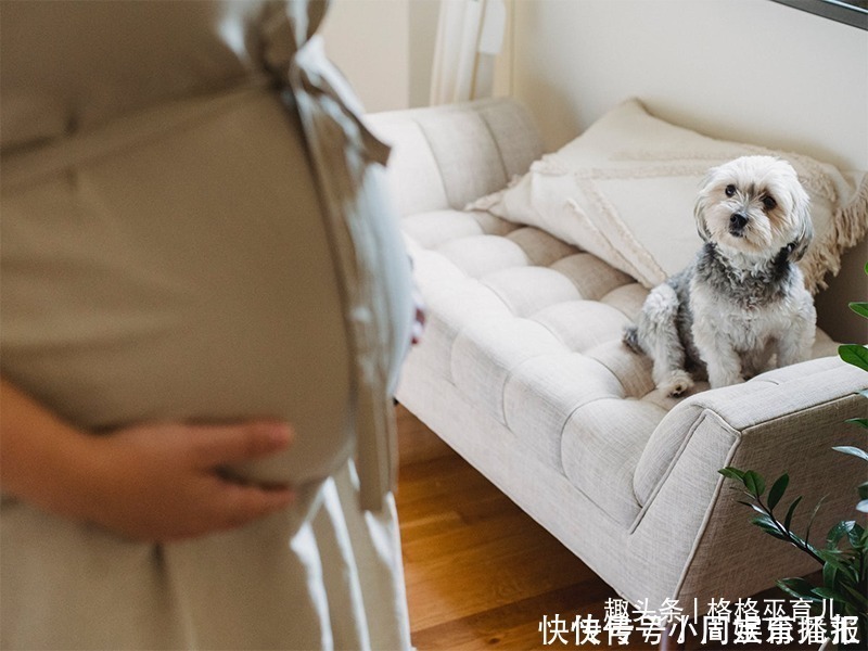 发动|临近预产期,除了爬楼,还有哪些方便帮助快速生产的方法呢?