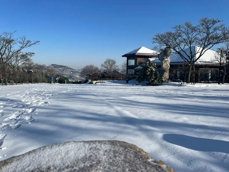 金银木|今年初雪落满山东，齐鲁雪乡首现雾凇！