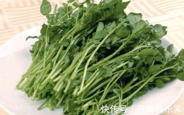 美容|想长寿要先会吃,3种食物换着来,清热排毒,美容瘦身,养护皮肤