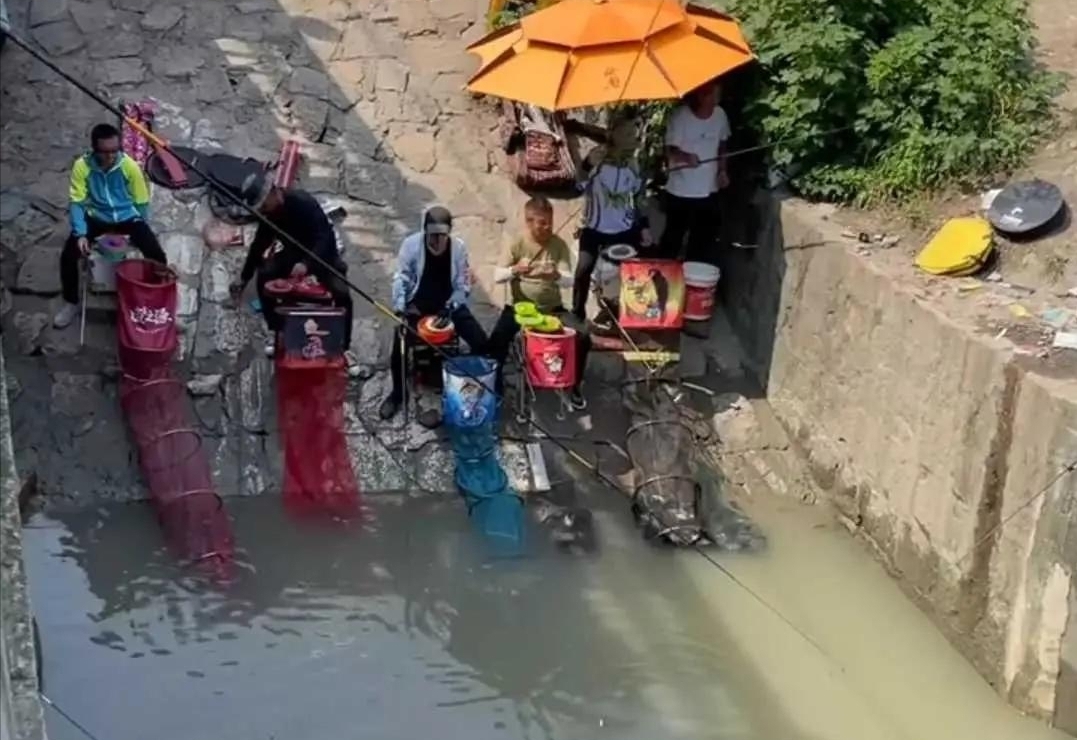 上海与众不同的“黑坑”,钓鱼不要交费,每天都有成百上千人聚集